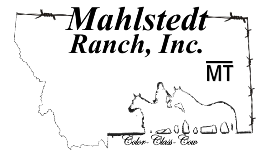 Mahlstedt Ranch, Inc. logo